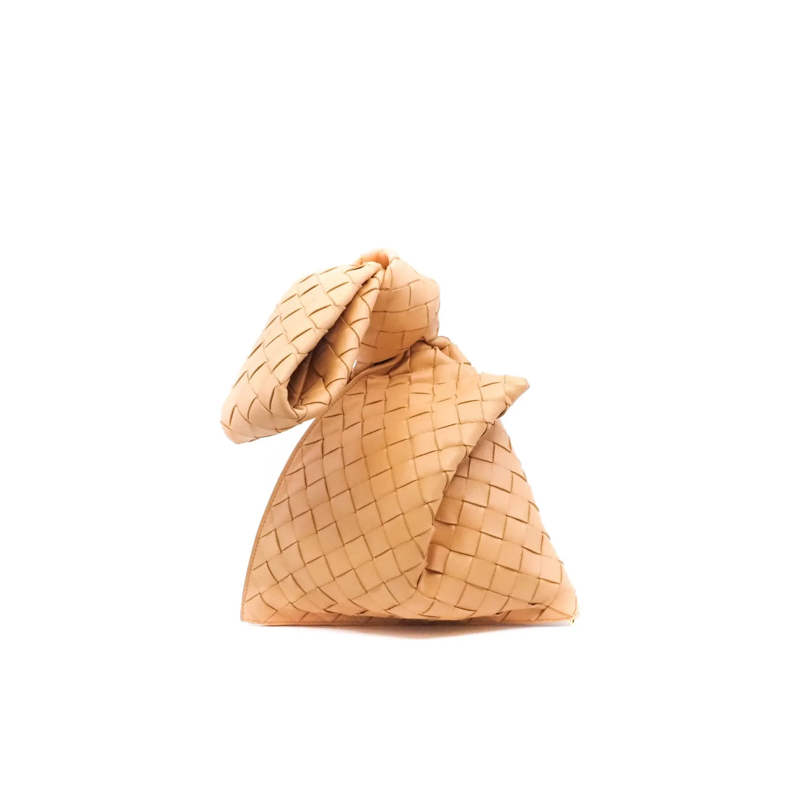 mini twist bag in monogram brown